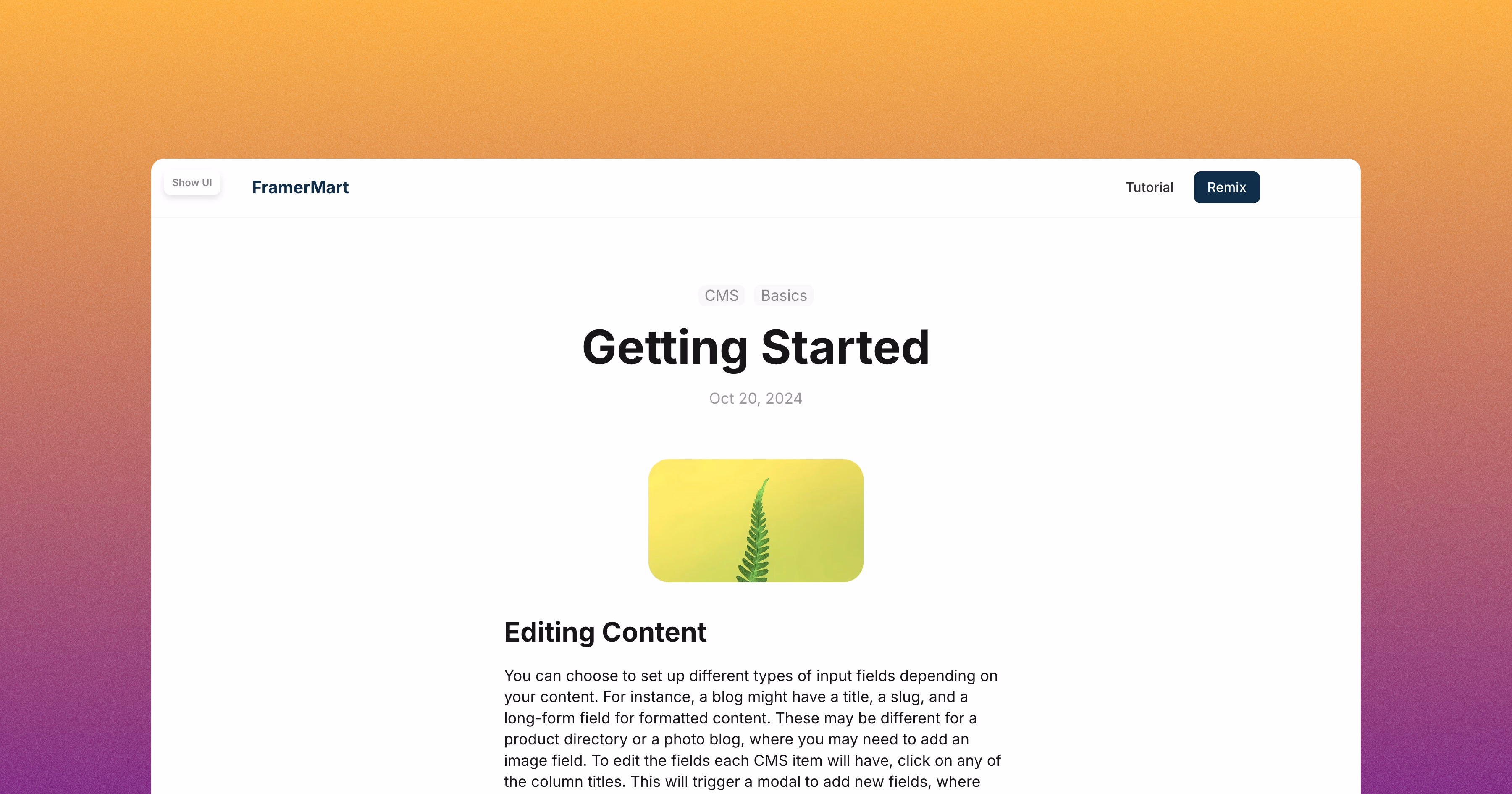 CMS Page Demo